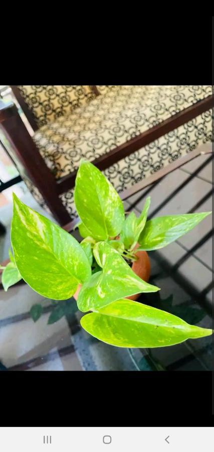 Orange Villa Hikkaduwa Bagian luar foto